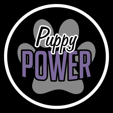 Puppy Power Training photo